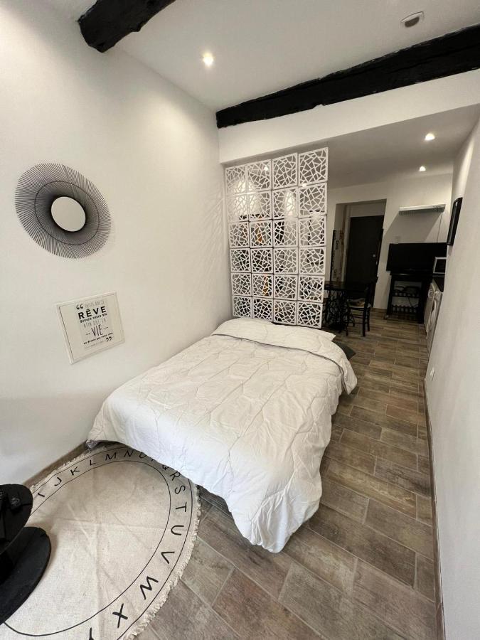 Studio Independant Romans-sur-Isère Eksteriør billede